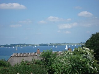 Flensburger Förde in Westerholz