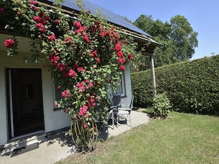 Holiday house Rakow Outdoor Recording 10
