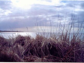 Ferienhaus Rakow Umgebung 31