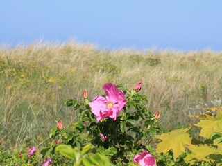 Vakantiehuis Rakow Buitenaudio-opname 4