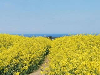 Vakantiehuis Rakow Omgeving 29