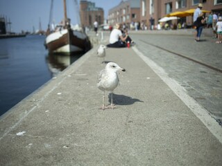 Bungalow Boiensdorf Omgeving 36