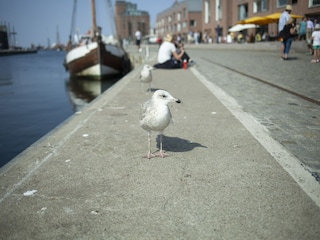 Bungalow Boiensdorf Umgebung 36