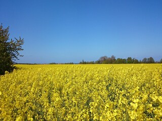 Bungalow Boiensdorf Omgeving 26