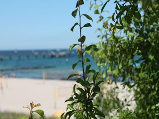 Bungalow Boiensdorf  40