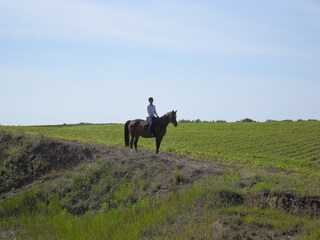 Vakantiehuis Rakow Omgeving 28