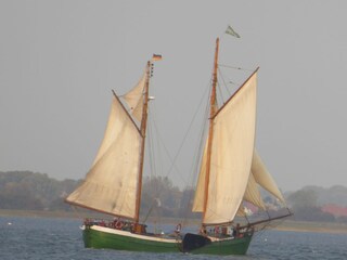 Appartamento per vacanze Gingst Ambiente 16