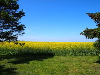 Appartamento per vacanze Gingst Registrazione all'aperto 2