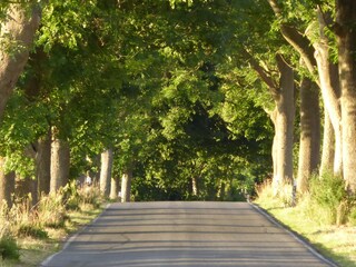 Appartamento per vacanze Gingst Registrazione all'aperto 4