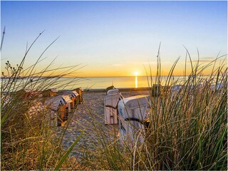 Apartamento de vacaciones Binz Entorno 25
