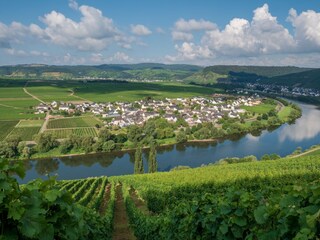 Holiday apartment Köwerich Environment 31