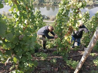 Holiday apartment Köwerich Environment 32