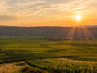 Holiday apartment Köwerich Environment 33