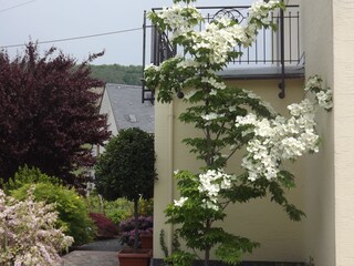 Holiday apartment Köwerich Environment 34