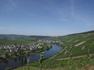 Holiday apartment Köwerich Environment 23