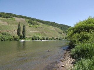 Holiday apartment Köwerich Environment 26