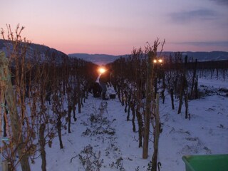 Holiday apartment Köwerich Environment 29