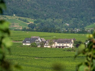 Holiday apartment Köwerich Environment 29