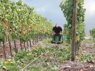 Holiday apartment Köwerich Environment 32