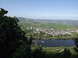 Holiday apartment Köwerich Environment 23