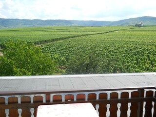 Holiday apartment Köwerich Features 14