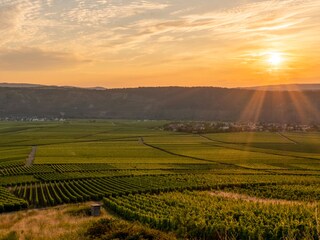 Sonnenuntergang über den Weingärten