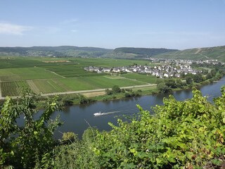 Bootsfahrt auf der Mosel