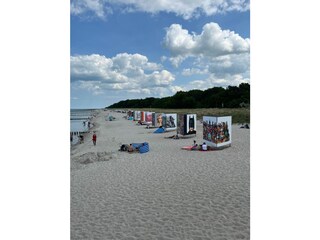 Der Strand bei Umweltfestival