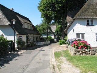 Strassenansicht Nieblum
