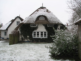 Föhrer Friesenkate - Gartenseite