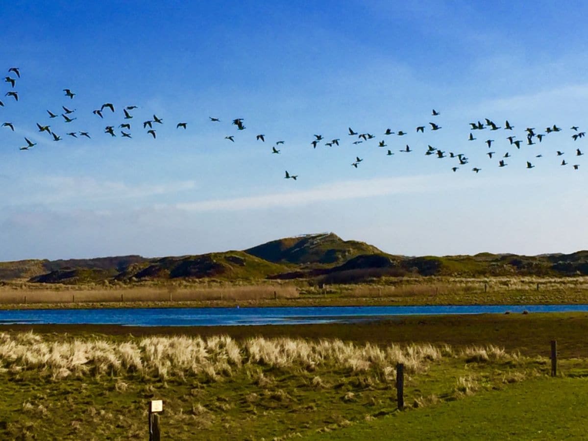 Ferienwohnung Langeoog Umgebung 6