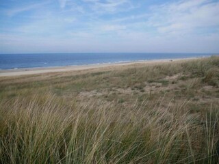 Ferienhaus Bergen aan Zee Umgebung 27
