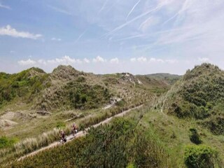 Maison de vacances Bergen aan Zee Environnement 22