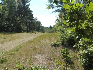 Casa de vacaciones Bergen aan Zee Entorno 24