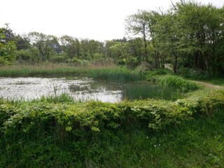 Holiday house Bergen aan Zee Environment 34