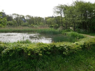Vakantiehuis Bergen aan Zee Omgeving 31