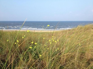 Casa per le vacanze Bergen aan Zee Ambiente 29