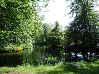 Vakantiehuis Bergen aan Zee Omgeving 29