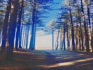 Ferienhaus Bergen aan Zee Umgebung 36