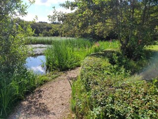 Vakantiehuis Bergen aan Zee Omgeving 21