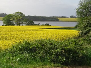 Appartamento per vacanze Kappeln (Stadt) Ambiente 24