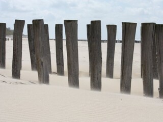 Strand im Winter