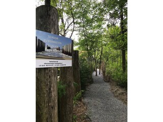 Vakantiehuis Oostkapelle Buitenaudio-opname 5