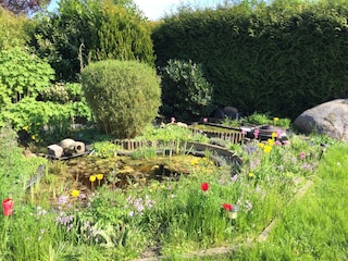 Unser Garten mit Teich