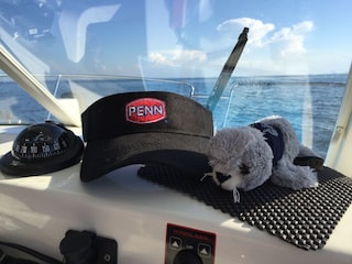 Ein herrlicher Tag auf dem Wasser