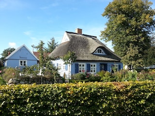 Ferienhaus Born an der Darß Umgebung 20