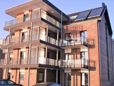 Ferienwohnung Seelöwe im Molenhuus