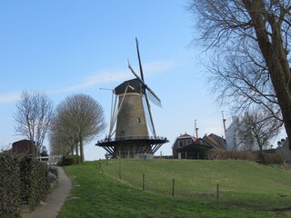Casa per le vacanze Bruinisse Ambiente 19