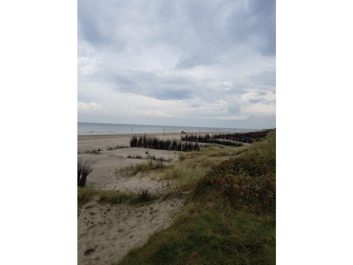 Single frauen wangerooge