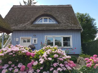 Kleines Haus im Sommer